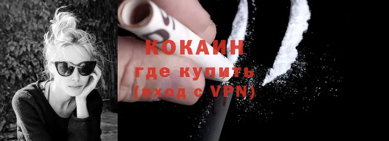 Cocaine FishScale  магазин    Верхотурье 