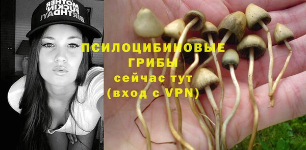 дмт Бугульма