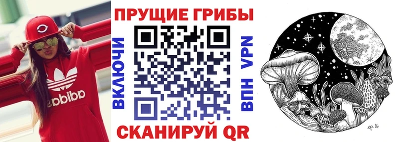 Псилоцибиновые грибы мицелий  Верхотурье 